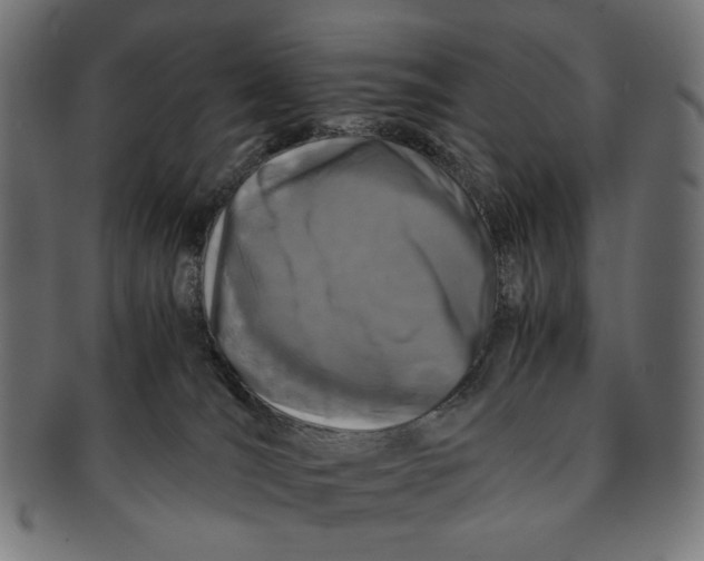 X0000091220036200709061508