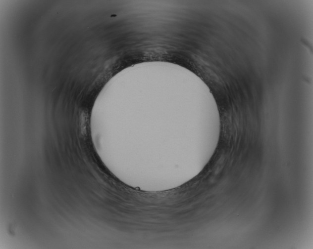 X0000091220038200709061508