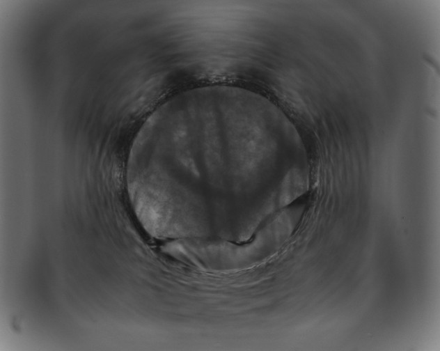 X0000091220039200709061508