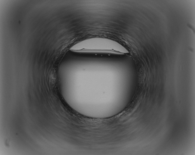 X0000091220040200709061508