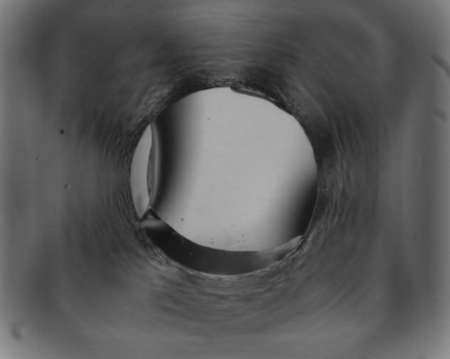 X0000091220041200709061508