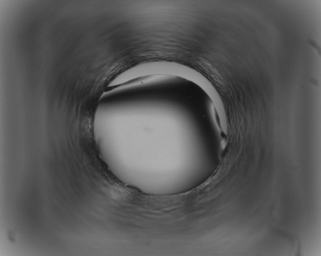 X0000091220045200709061508