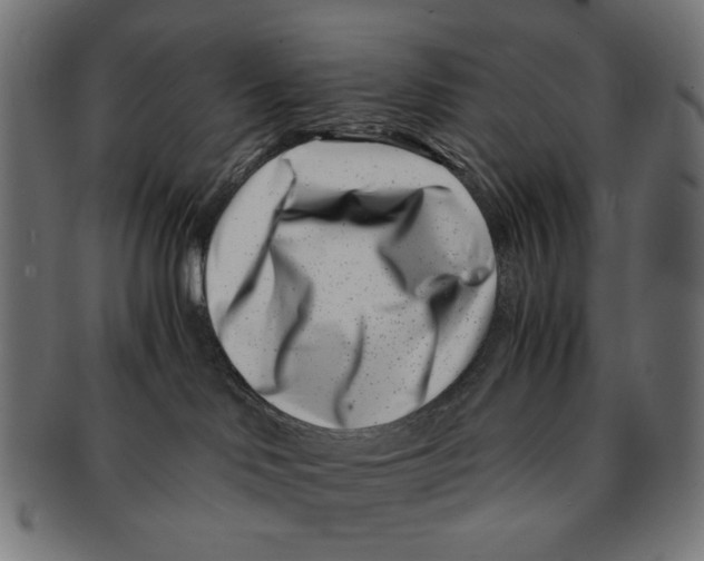 X0000091220046200709061508