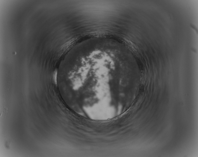 X0000091220047200709061508