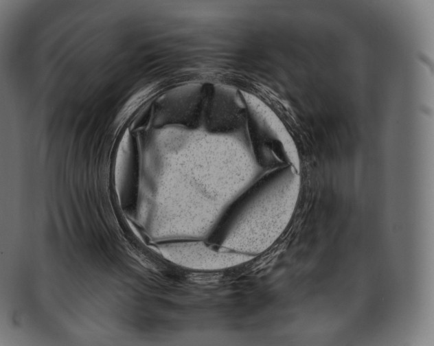 X0000091220051200709061507