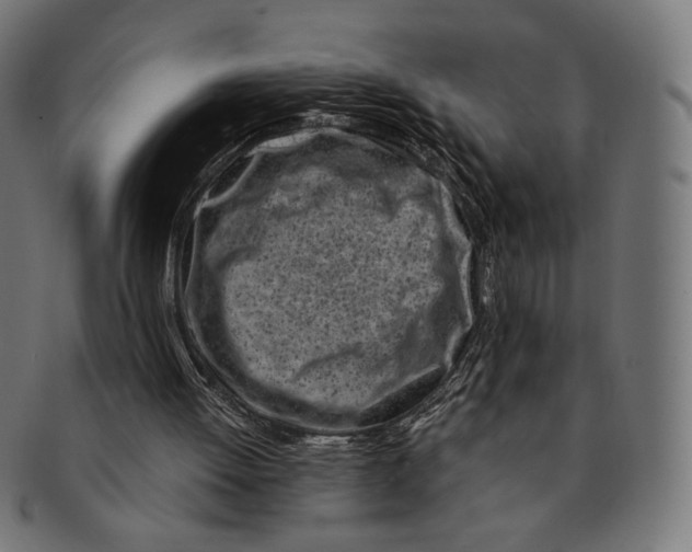 X0000091220052200709061507