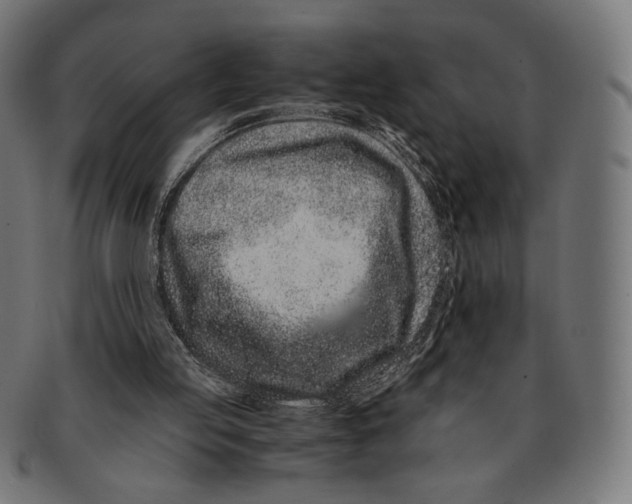 X0000091220053200709061507