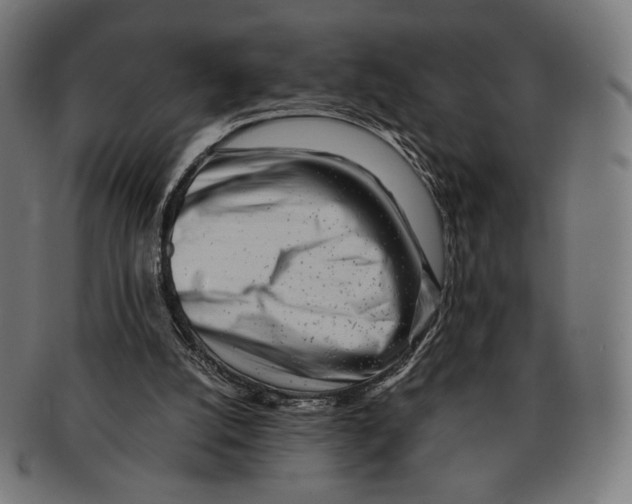 X0000091220056200709061507