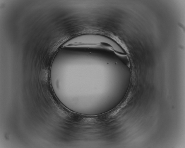 X0000091220057200709061507