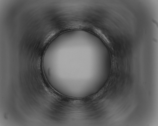 X0000091220058200709061507