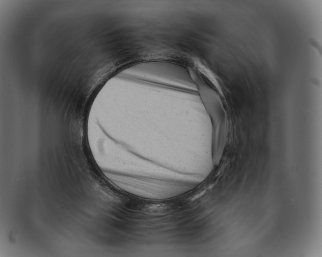 X0000091220059200709061507