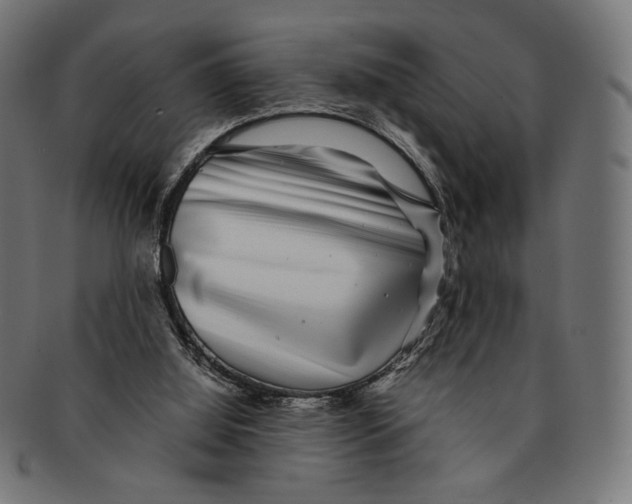 X0000091220060200709061507