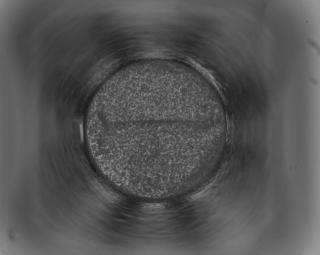 X0000091220061200709061507