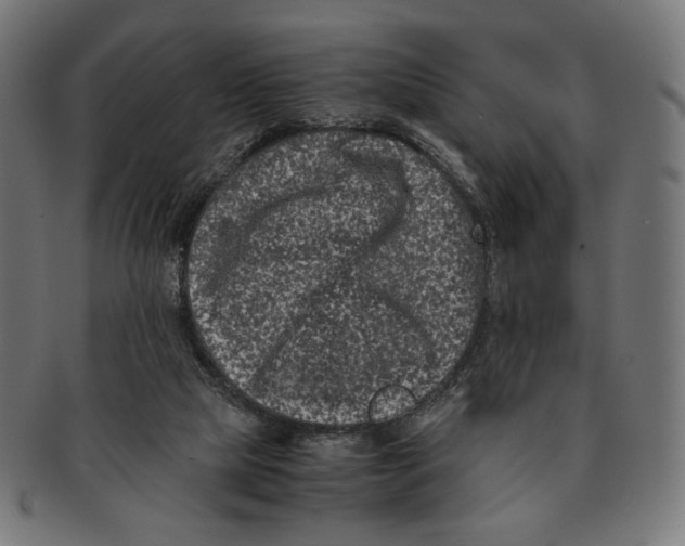 X0000091220065200709061507