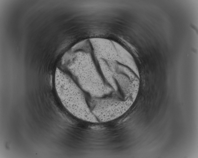 X0000091220067200709061507