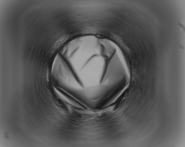 X0000091220068200709061507