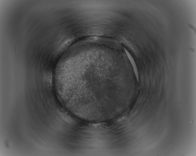 X0000091220072200709061507