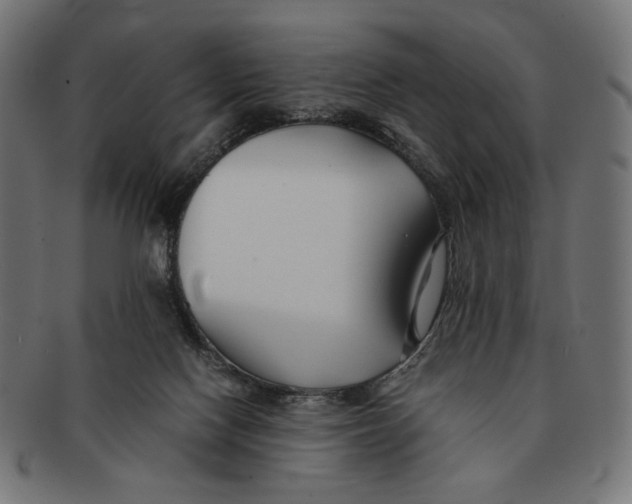 X0000091220074200709061507