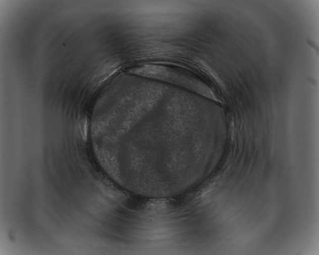 X0000091220076200709061507