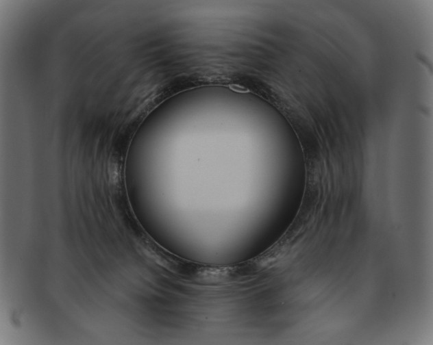 X0000091220084200709061507