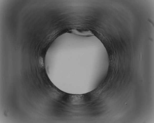 X0000091220089200709061508