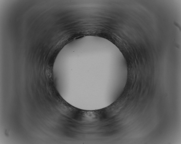 X0000091220091200709061508