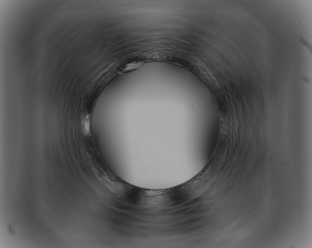 X0000091220095200709061508