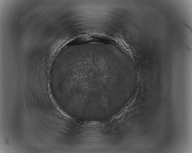 X0000091220097200709061507