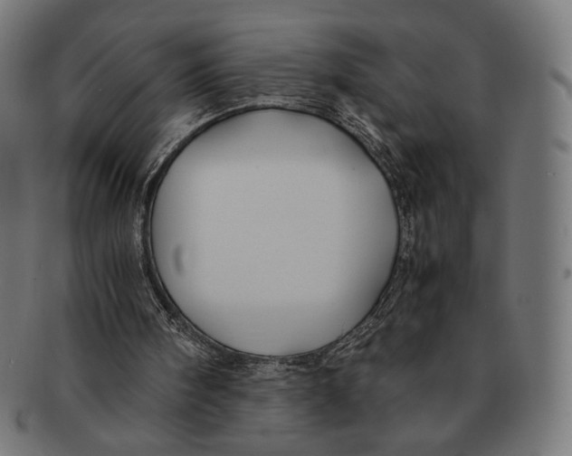 X0000091220098200709061507