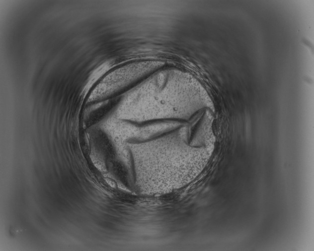 X0000091220099200709061507