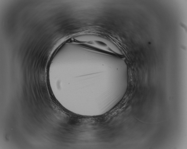 X0000091220100200709061507