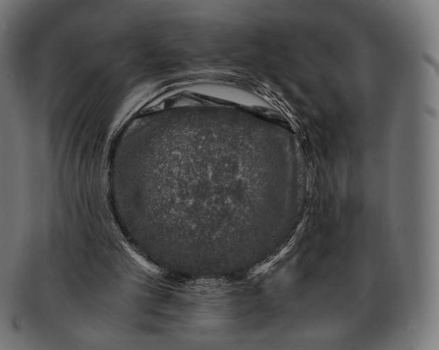 X0000091220101200709061507