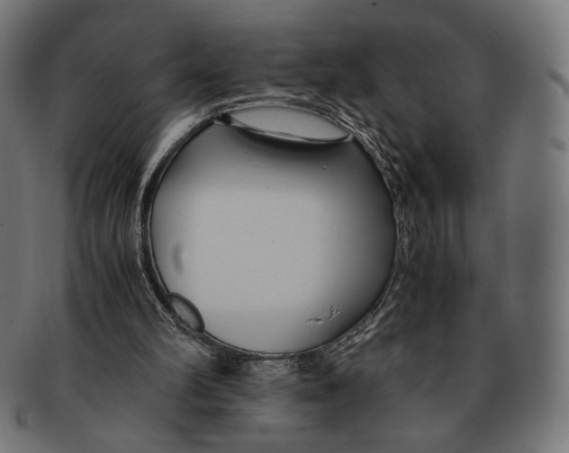 X0000091220102200709061507