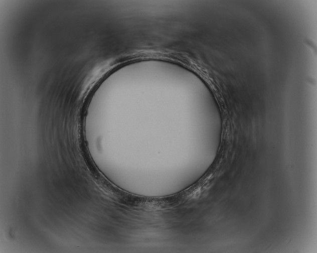 X0000091220103200709061507