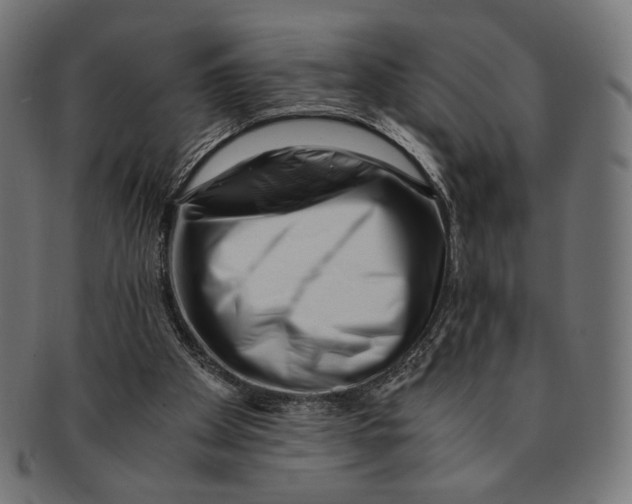 X0000091220105200709061507