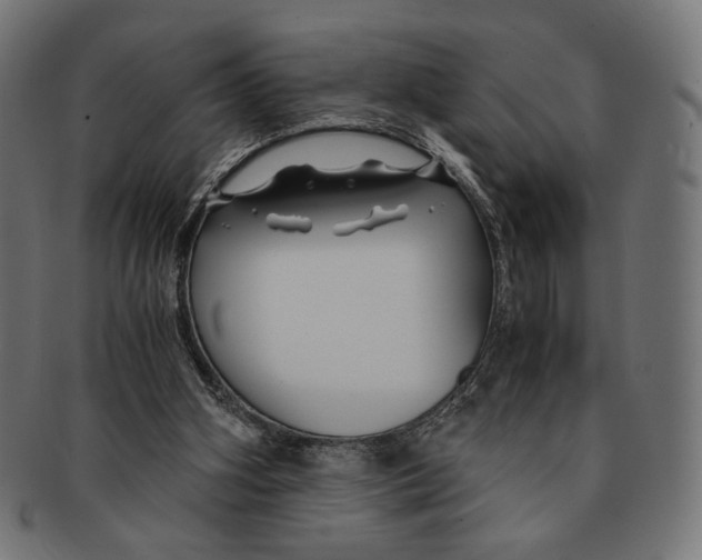 X0000091220106200709061507