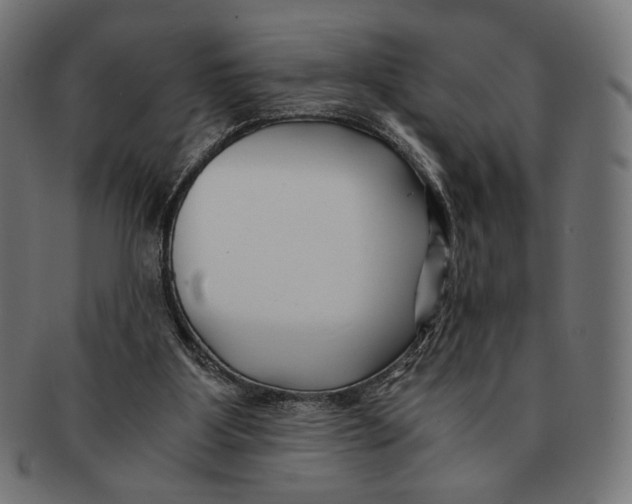 X0000091220107200709061507