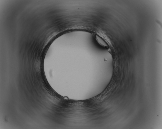 X0000091220108200709061507