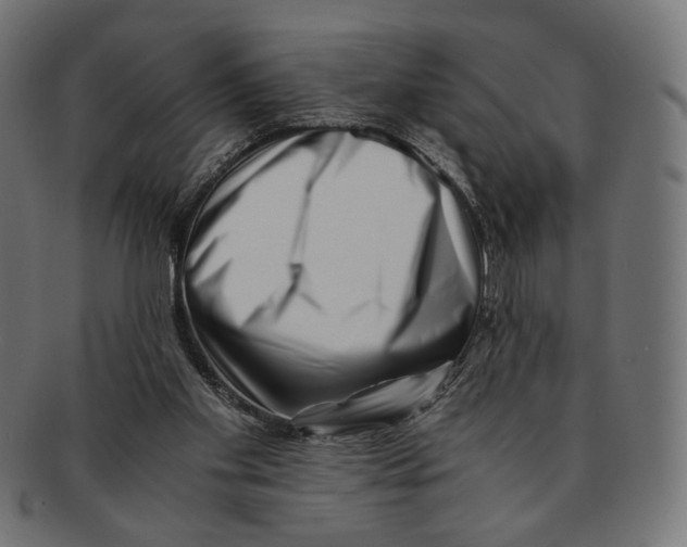 X0000091220109200709061507