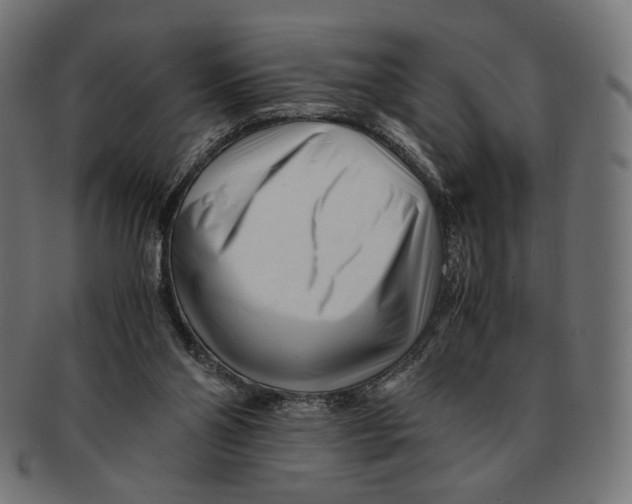 X0000091220110200709061507