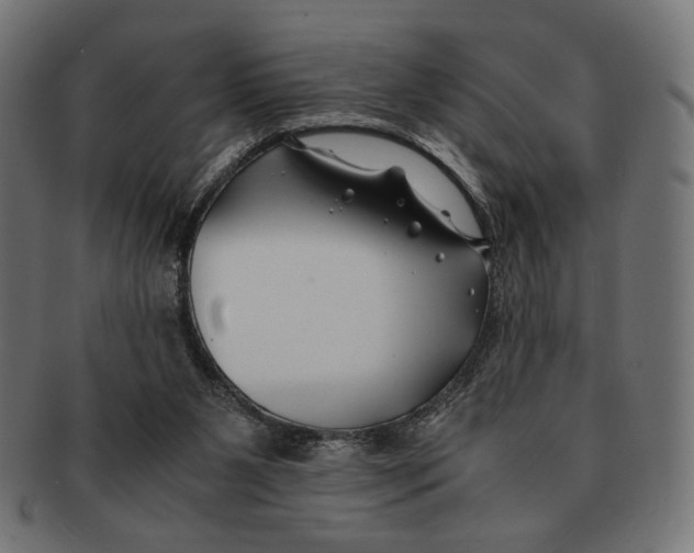 X0000091220111200709061507