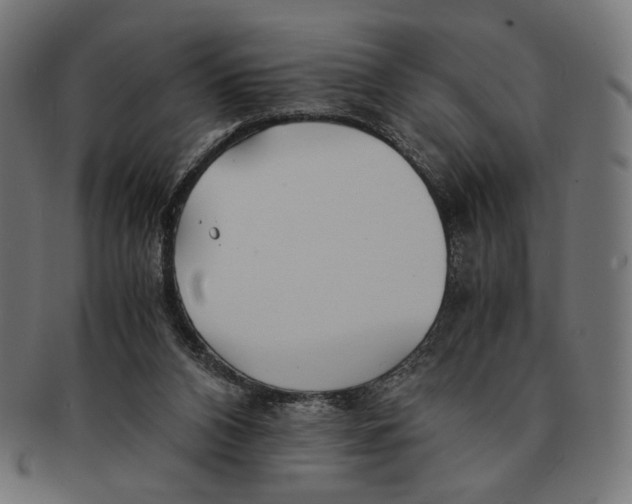 X0000091220112200709061507