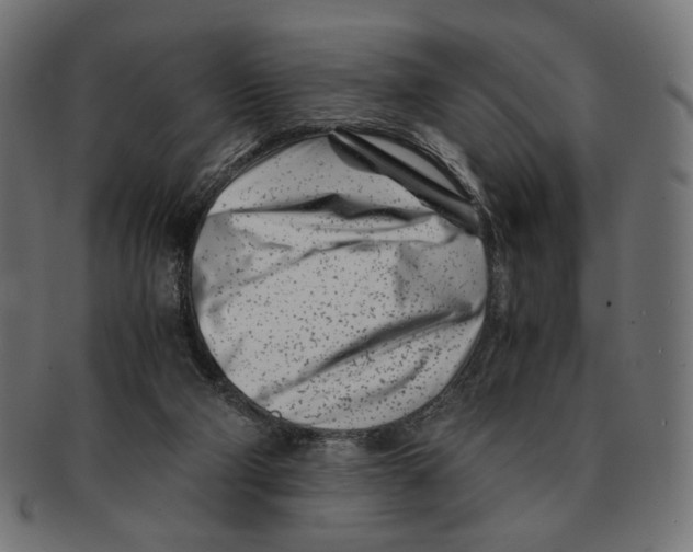 X0000091220114200709061507