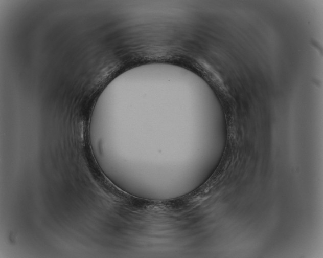 X0000091220115200709061507