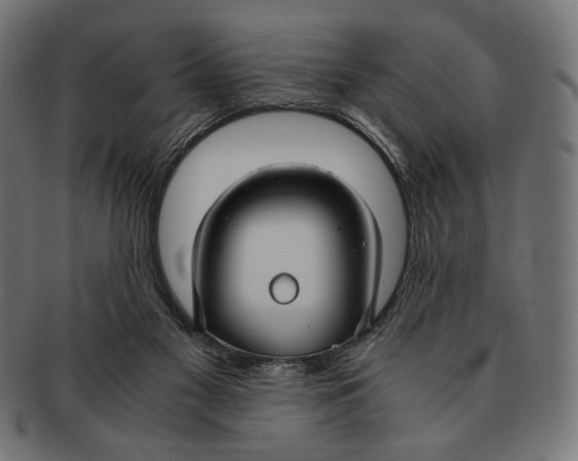 X0000091220117200709061507