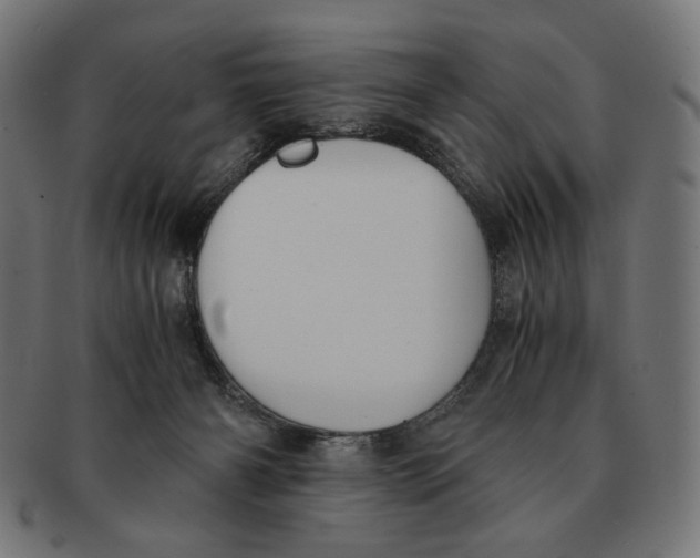 X0000091220126200709061507