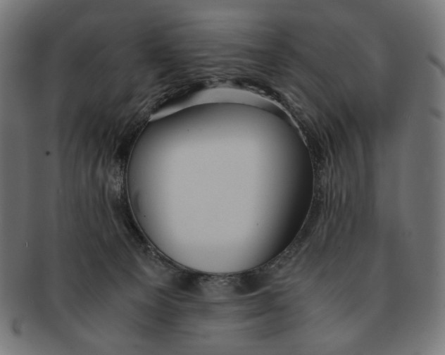 X0000091220129200709061507