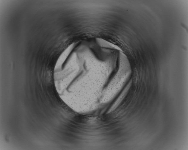 X0000091220130200709061507