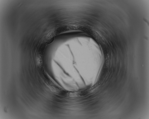 X0000091220134200709061507