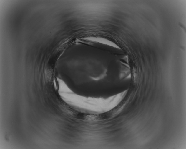 X0000091220139200709061507